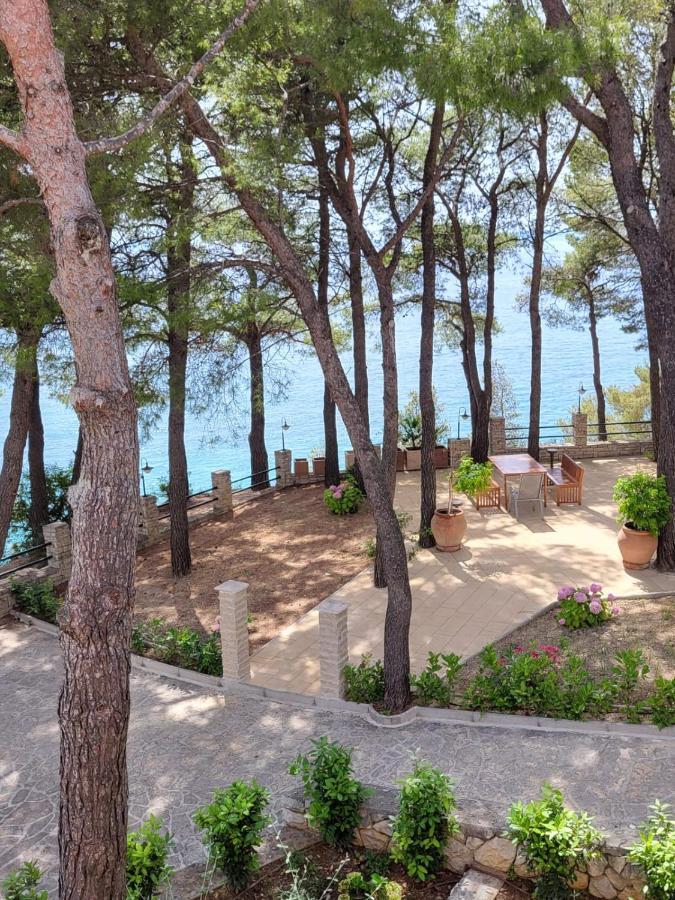 Lavica Bellevue & Appartement *